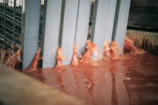 Цинкование